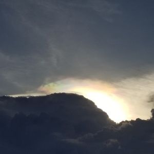 Meet your Posher, Adela